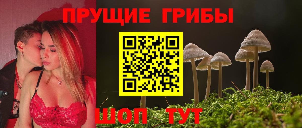 Галлюциногенные грибы Psilocybine cubensis  Псилоцибиновые грибы GOLDEN TEACHER  Вход с VPN  Губаха 